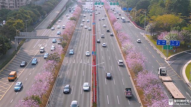 深圳人喜欢逛山姆店,深圳人喜欢逛步行街吗