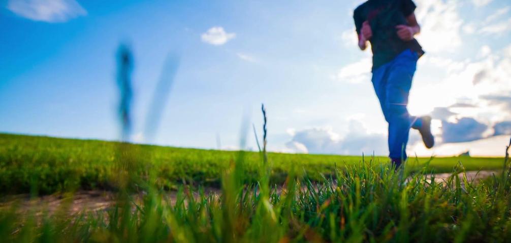 被辜负的诗句,辜负人生的诗词