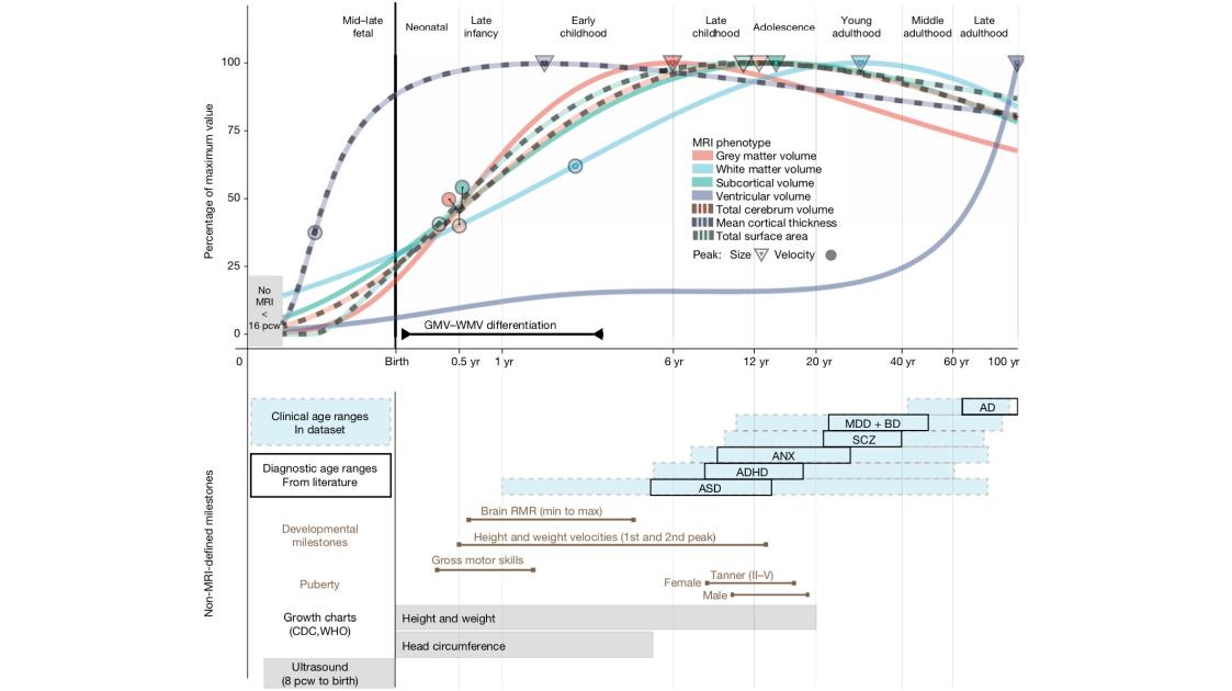 50岁后不论男女，有*生活性**和没有*生活性**，差别有多大？看完涨知识