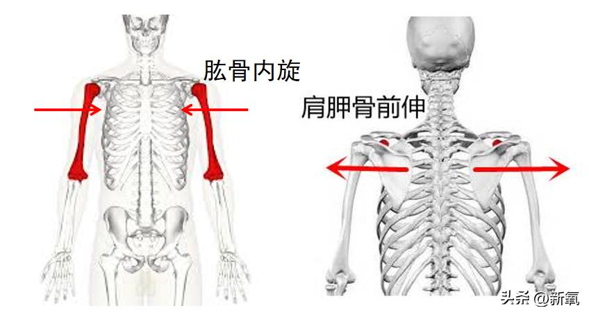 圆脸女明星拍照为什么没有双下巴,女明星圆肩对比