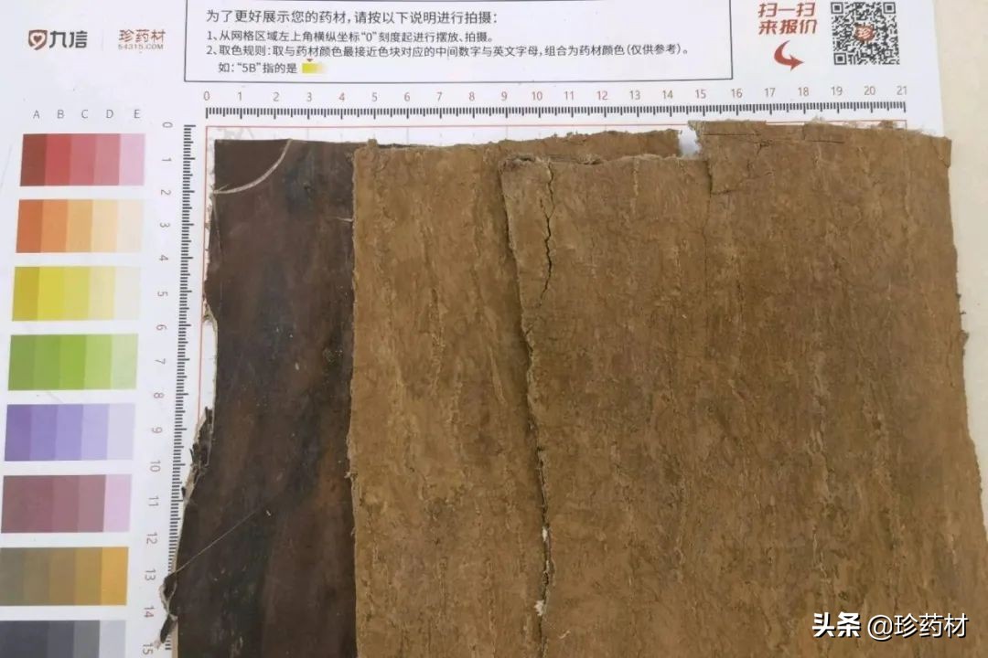 药材三黄种植前景与价格,三木药材前景