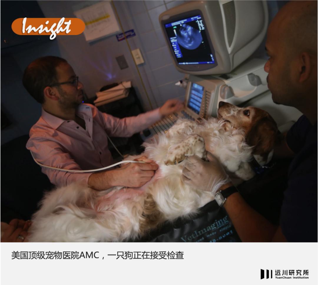 狗吃的药跟人吃的药有区别吗,为什么狗的药比人的贵