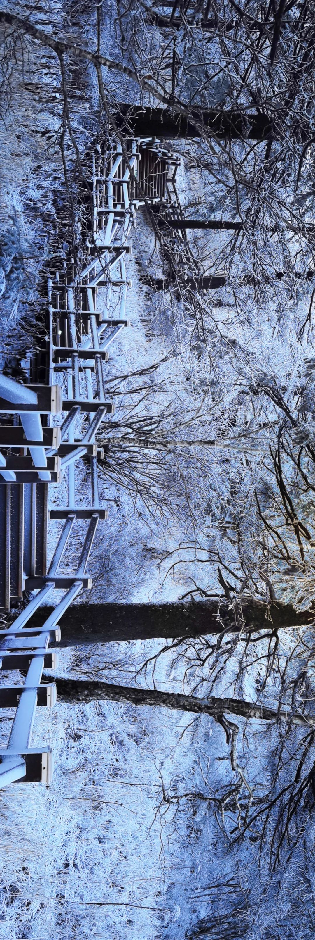 梦幻西游凤凰山,江西凤凰山梦幻影视城