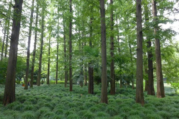 驾驶员开车太阳镜推荐评测,驾驶员太阳镜推荐哪个牌子