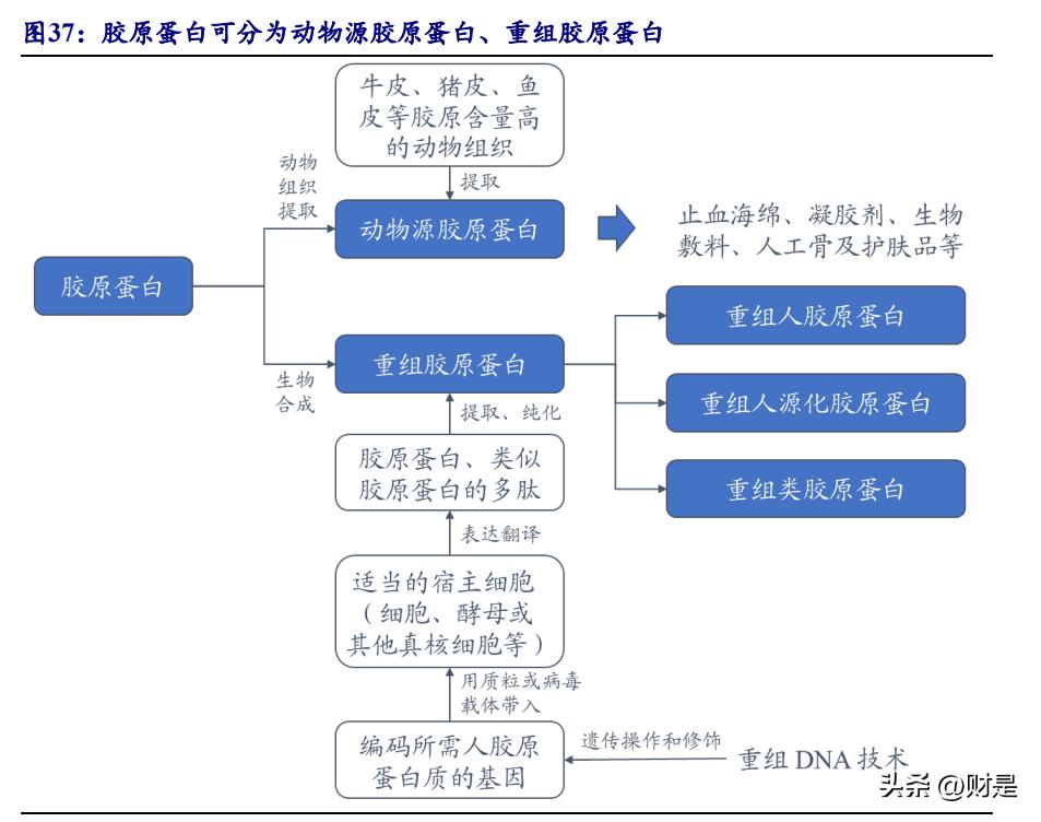 锦波生物发行市盈率,锦波生物值得申购吗