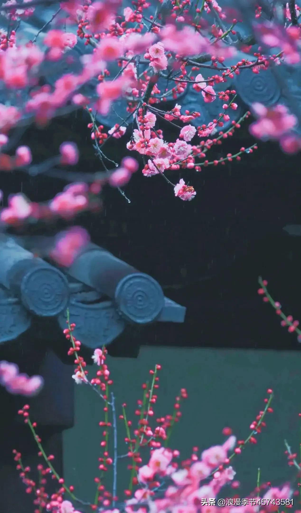 花开时节更清新的散文,春暖花开的季节散文