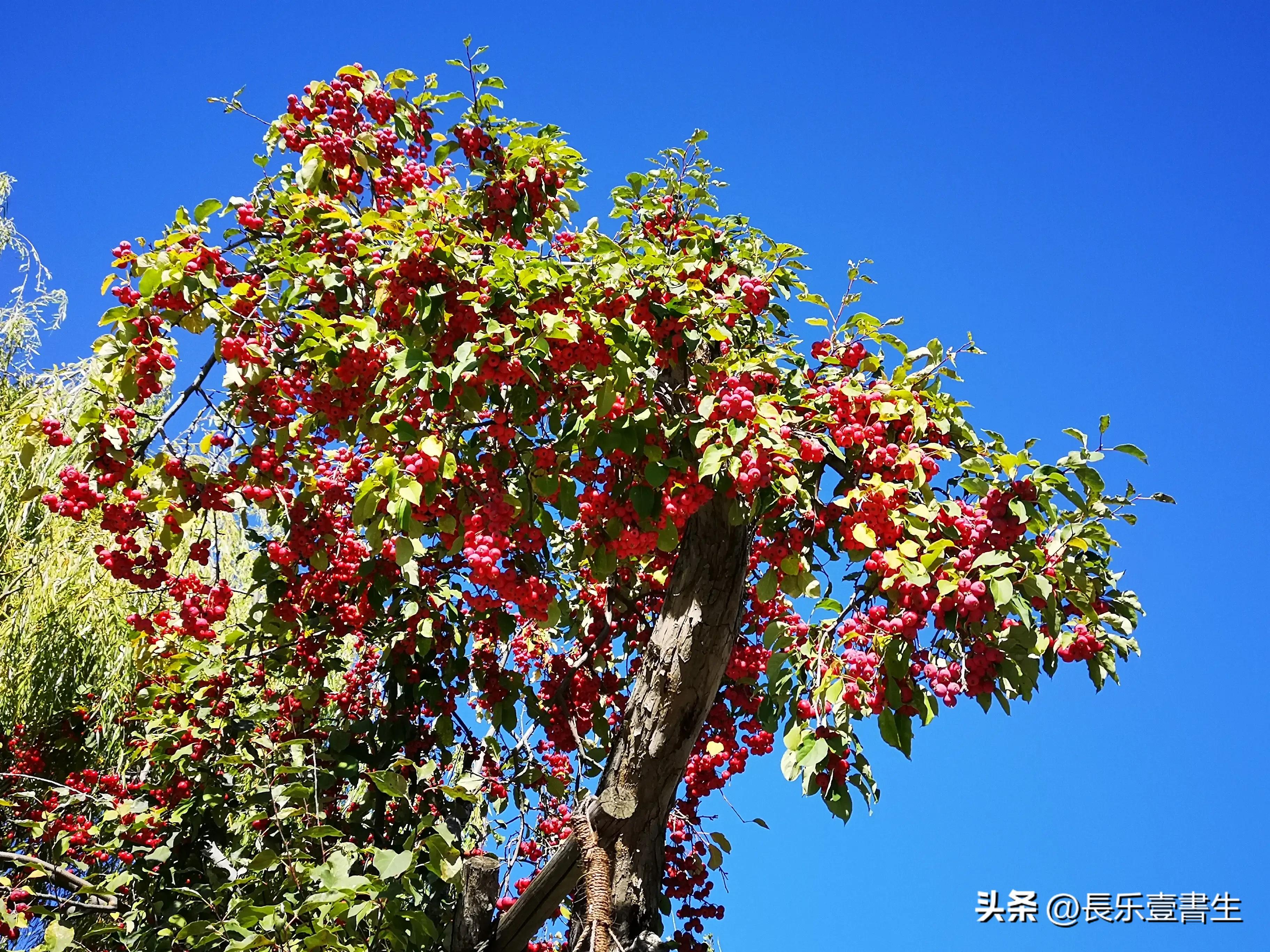 古北水镇二日游景点,古北水镇二日游自驾票