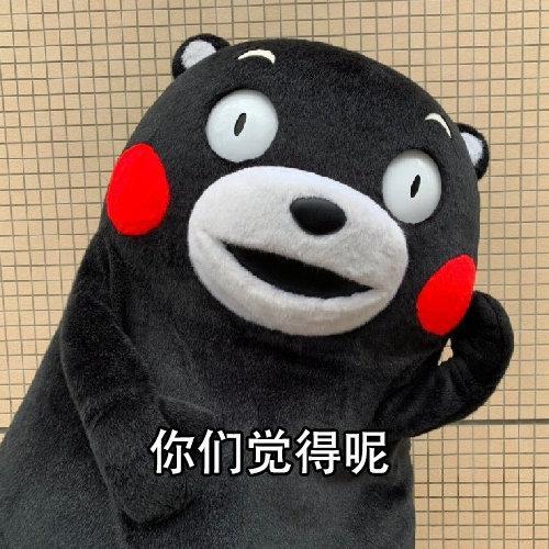 2019款光冈女王二手,日本光冈女王二手车