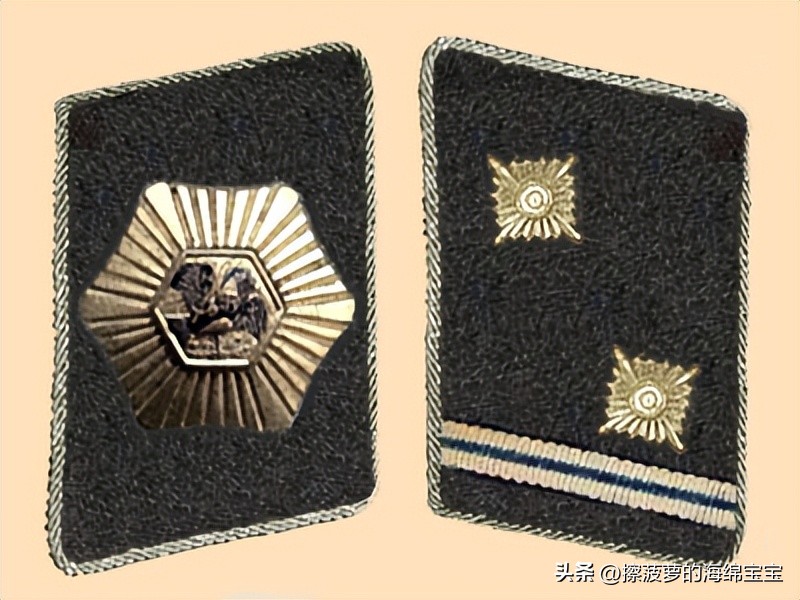 纳粹冲锋队用的什么枪,纳粹德军军衔图解