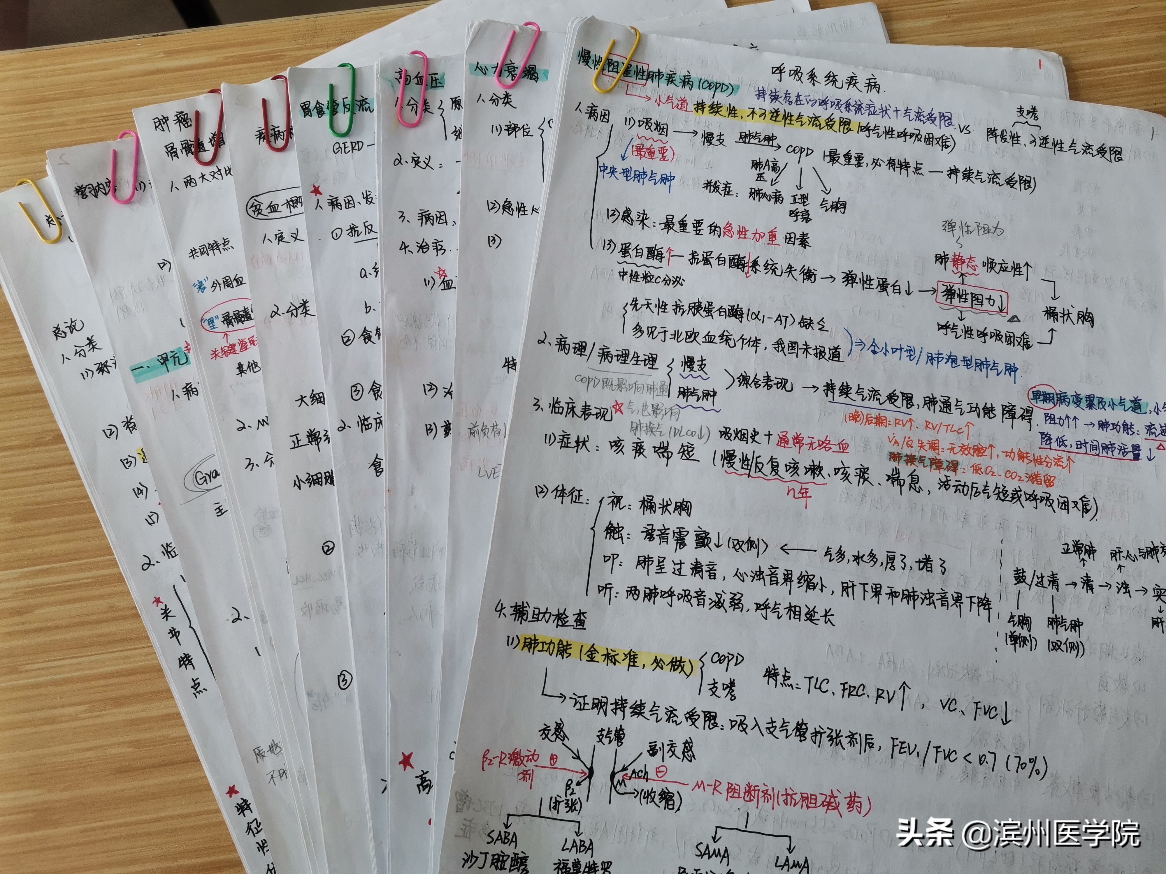 专业第一！428分！首批9位滨医学子梦圆北大