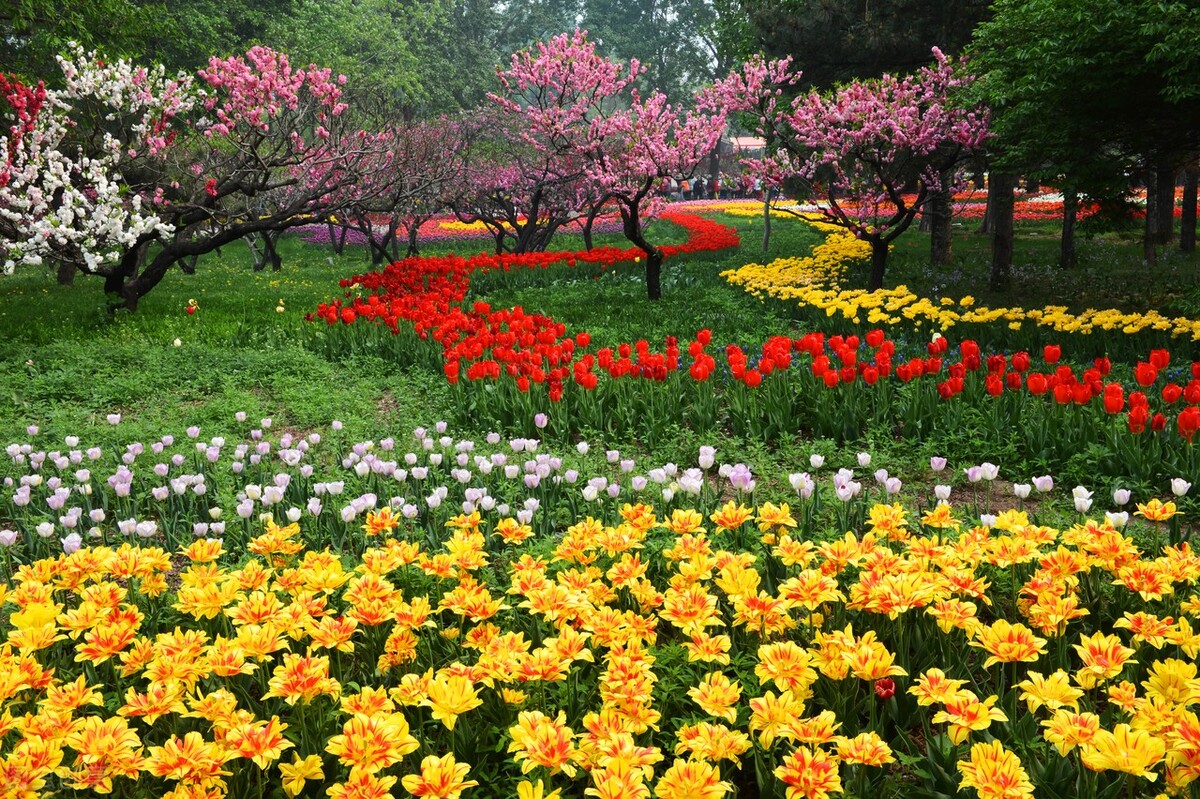 女人允许你做几件事说明她喜欢你,女人对你做这几件事说明她喜欢你