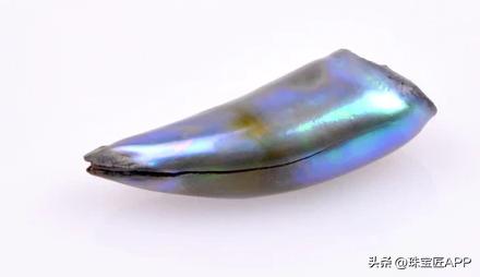 烧烤鲍鱼成品,鲍鱼里面也有珍珠