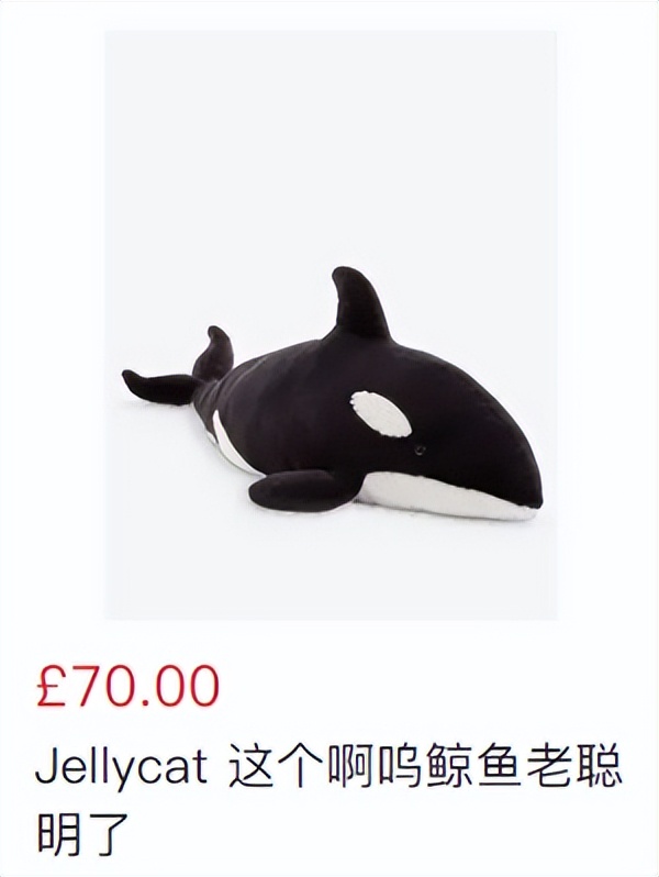 给jellycat海盗狗起名,jellycat全部款式