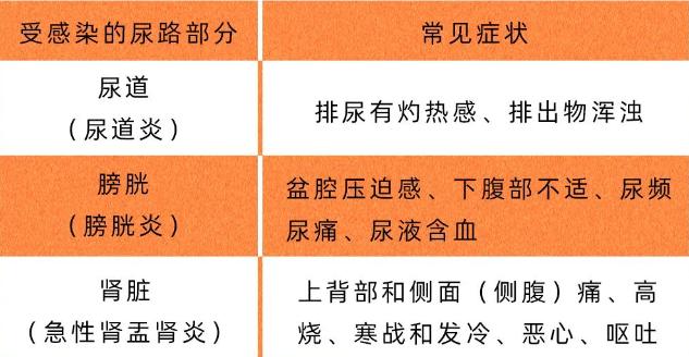 3个方面症状提醒你注意尿路感染,发生院内尿路感染最常见原因