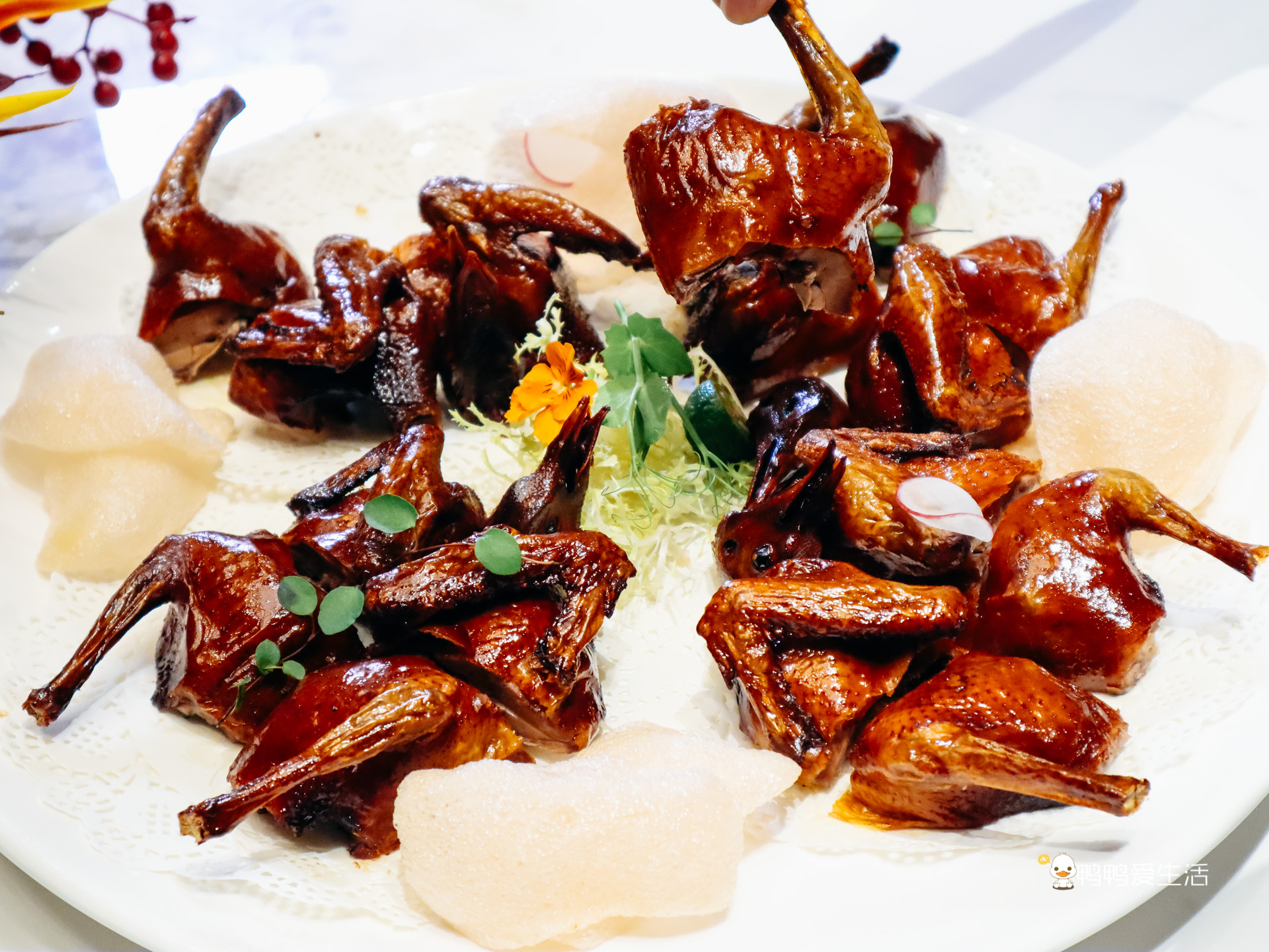 厦门请客聚会,厦门聚餐私房菜