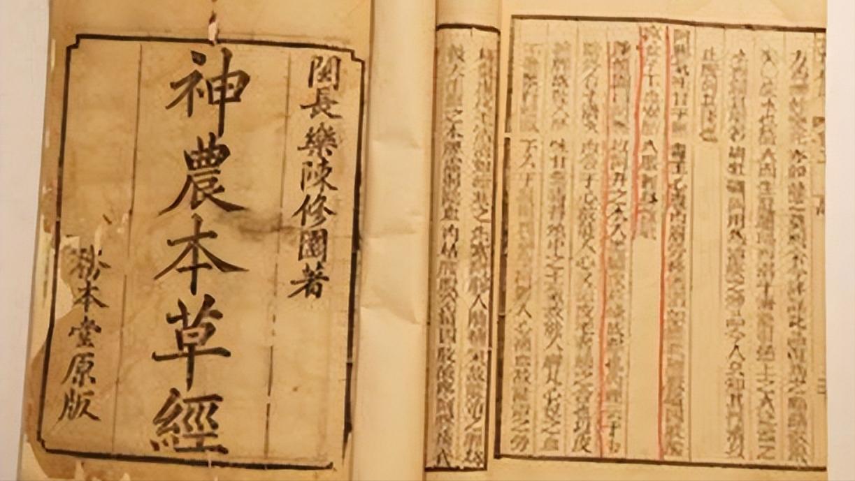 枸杞怎样食用降高血糖,枸杞加什么可以降血糖