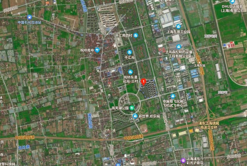 上海五大坑盘,实探上海楼市