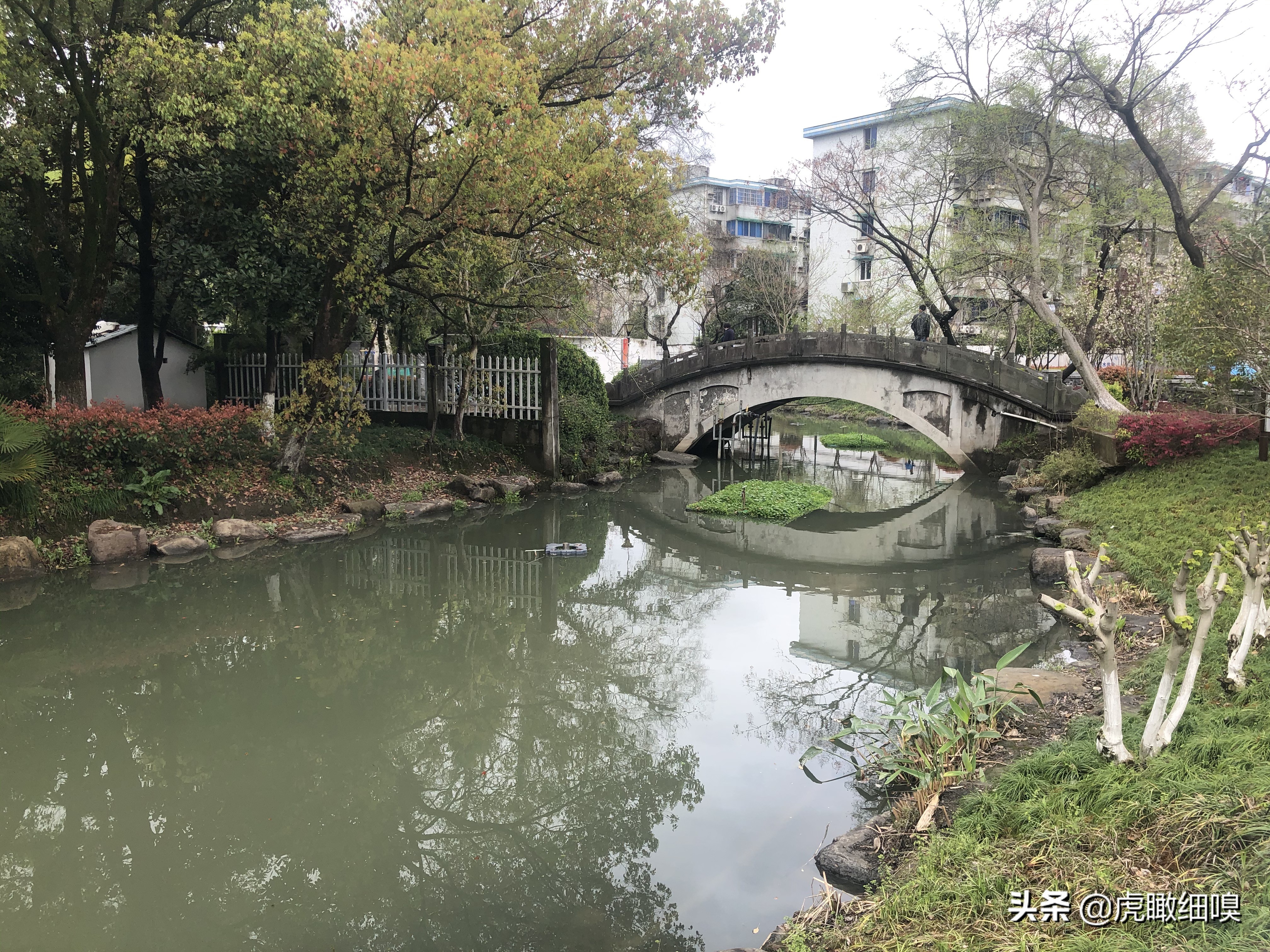 三墩兰里公园变化,杭州兰里公园