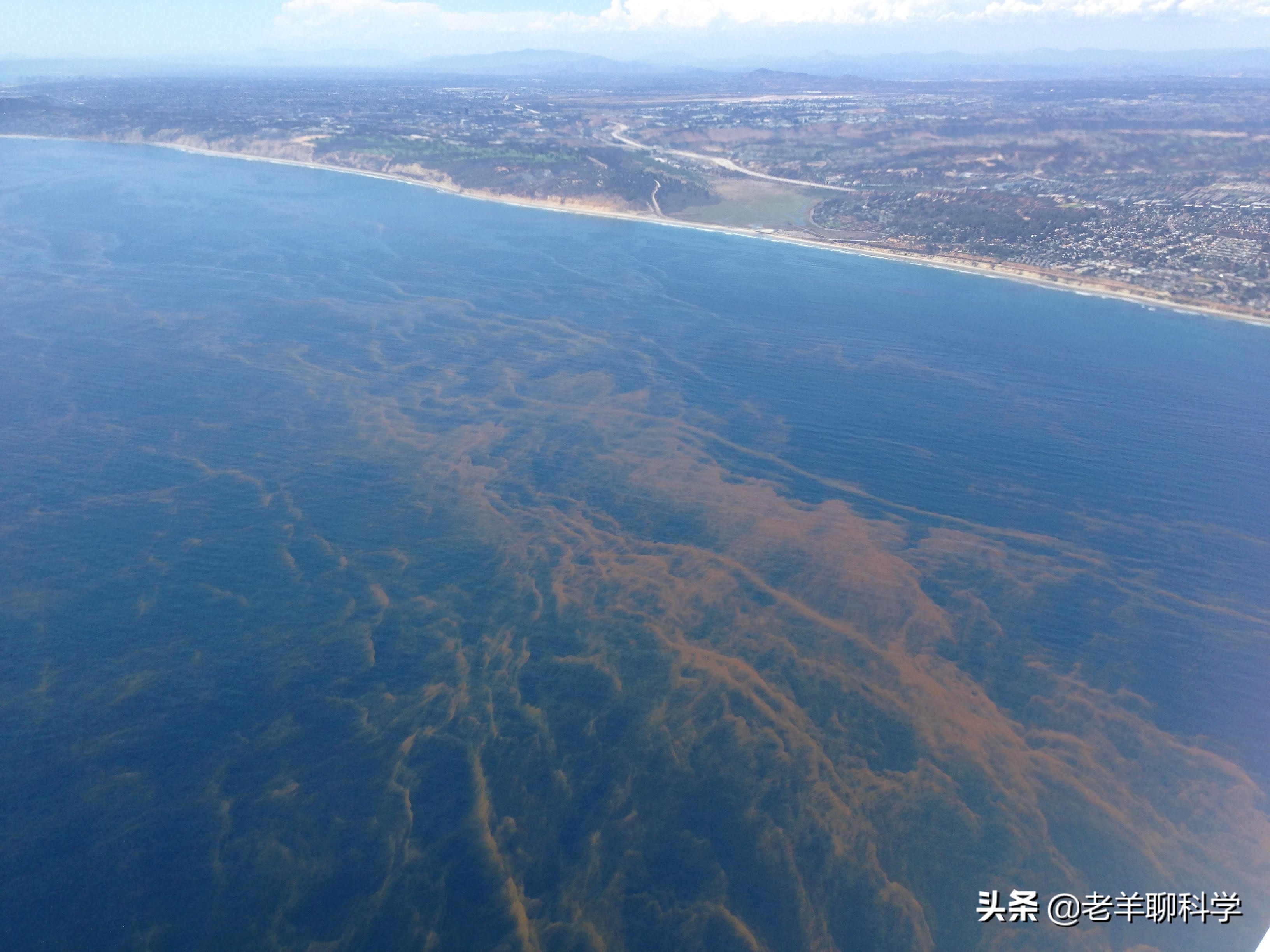 14亿国人的福音：10亿吨“海上金矿”，吃不完繁殖快，为何有隐患