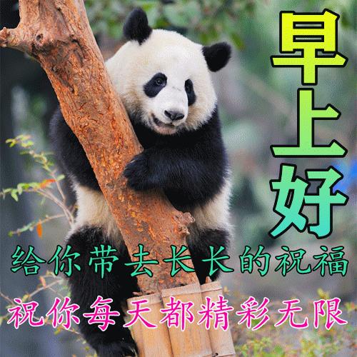 端午节快到了祝福正能量短句,端午节祝福语录正能量图片