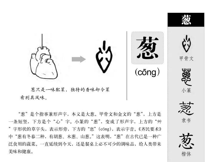 汉字的来源300字,汉字的来源30字左右