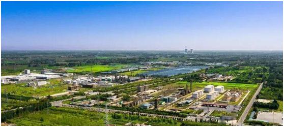 河南中原大化集团mma项目,中原大化mma项目