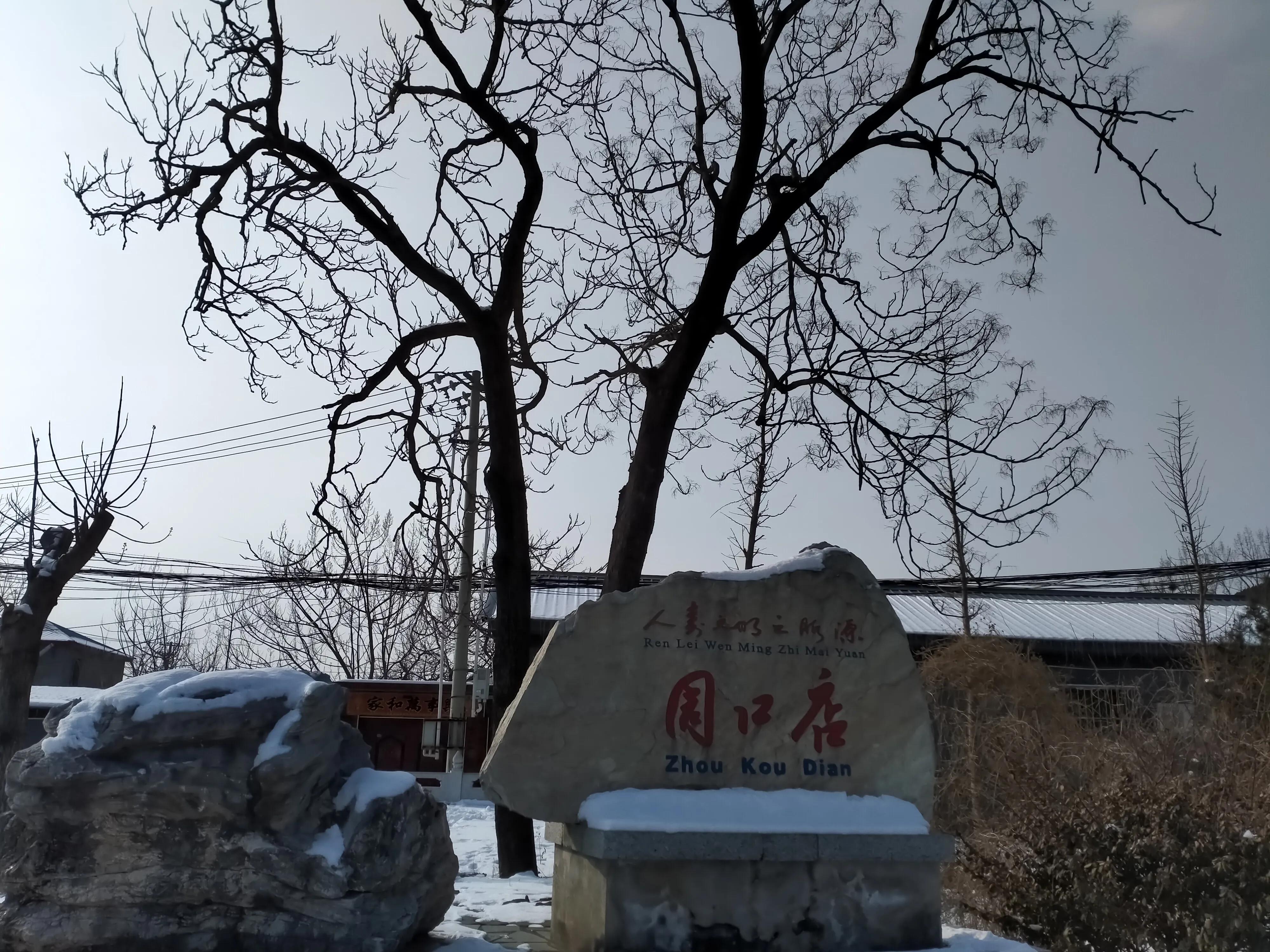 冬奥元宵节,冬奥元宵灯谜