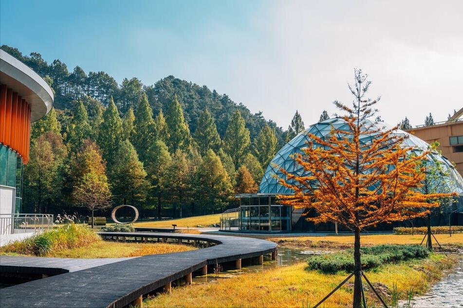 初次去韩国需要注意什么 (初次到韩国需注意事项)