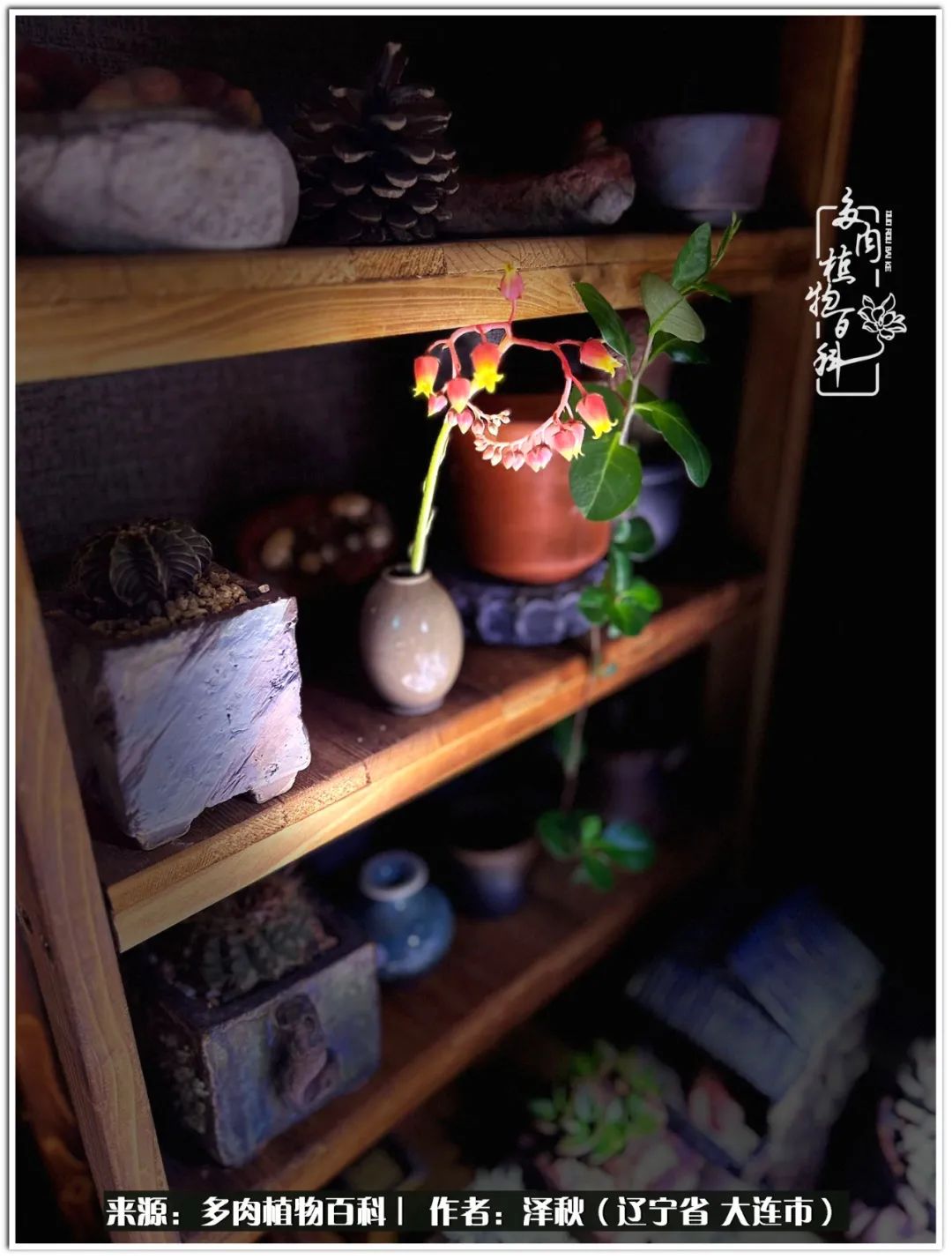 四季轮回之秋天,四季轮回之冬季