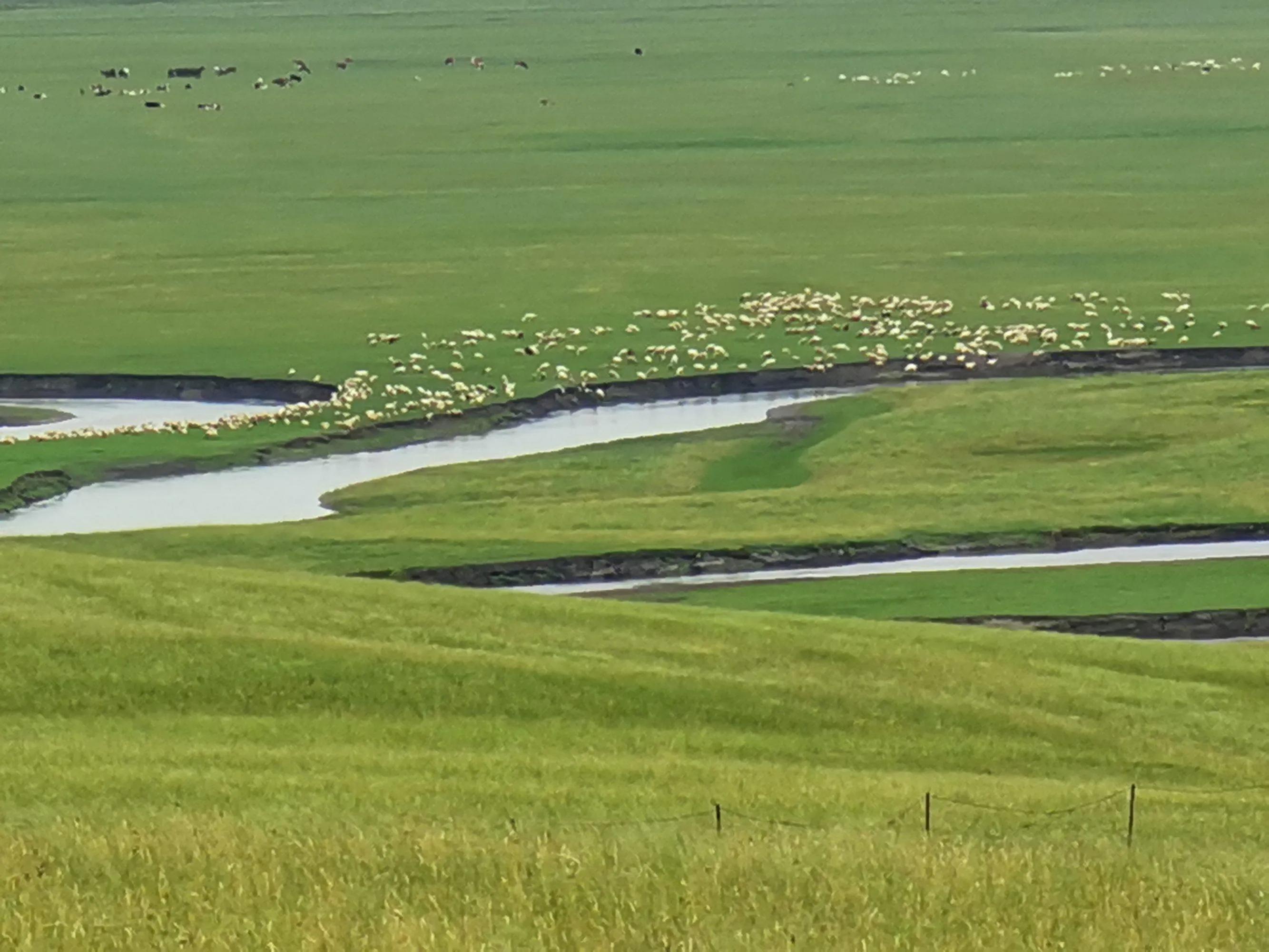 呼伦贝尔六日游自由行攻略 (呼伦贝尔八日游旅游攻略)