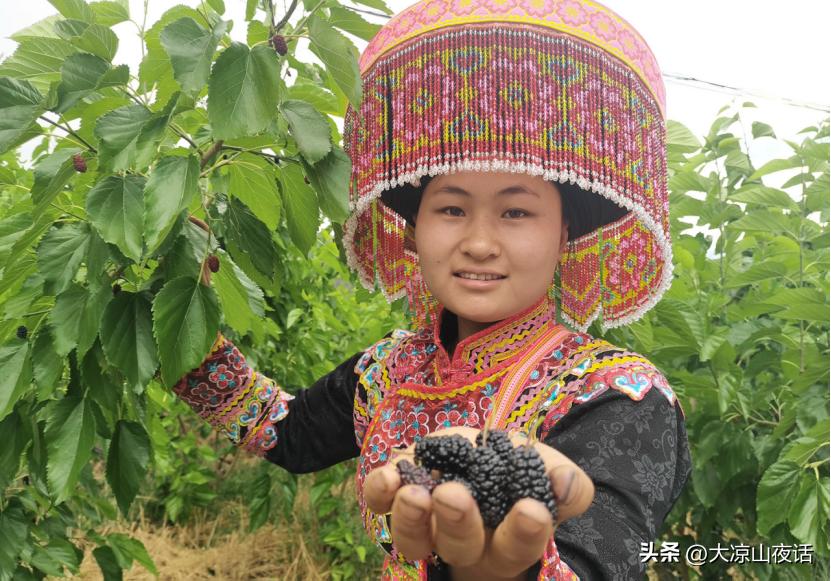 大凉山乡村振兴,遇见美丽大凉山1-8集
