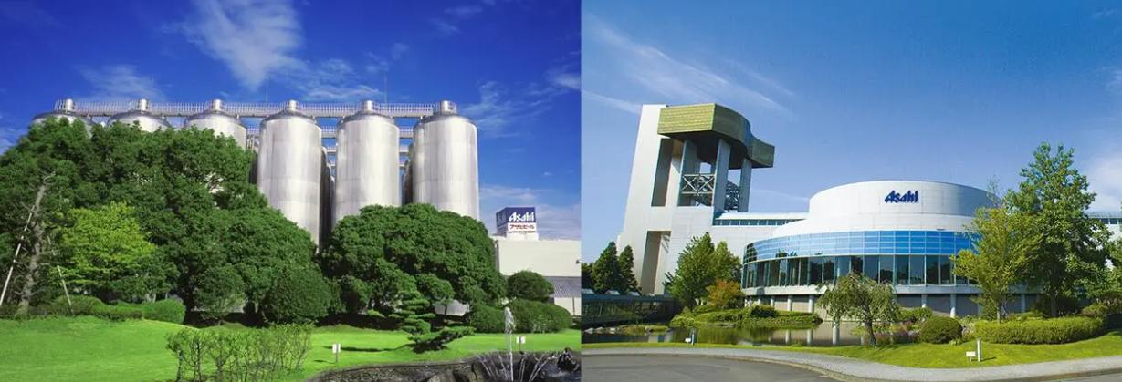 日本人山东租1500亩地的故事 (2006年日本人在山东租50亩地)