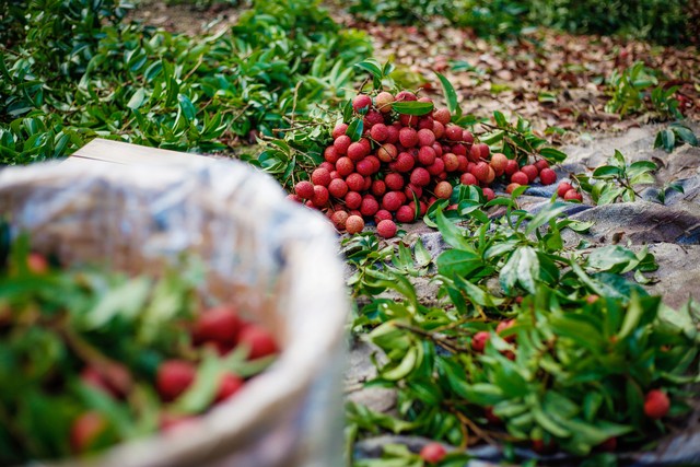 我，在南宁经营水果店，20年买下130多万的房子，如今觉得后悔