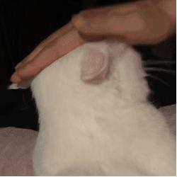 沙雕搞笑表情包头像,沙雕搞笑表情包图片静图