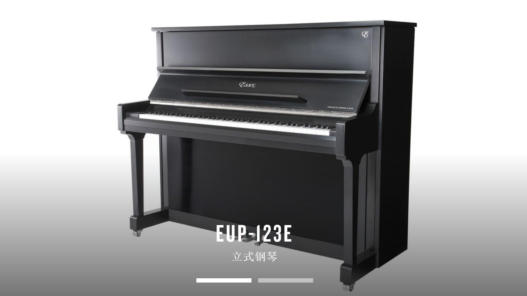 10万左右的钢琴推荐施坦威 (施坦威钢琴5万左右怎么样)