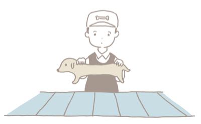 想报考动画专业一定要走艺考吗,美术生报考动画有前途吗