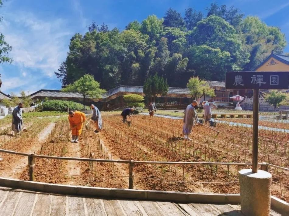 年轻人热衷拜佛,烧香拜佛的年轻人越来越多