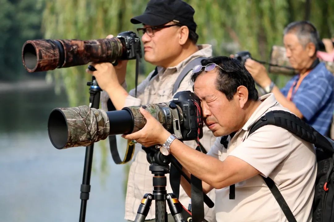 从10元涨到50元涨了几倍,从10块钱涨到350块钱