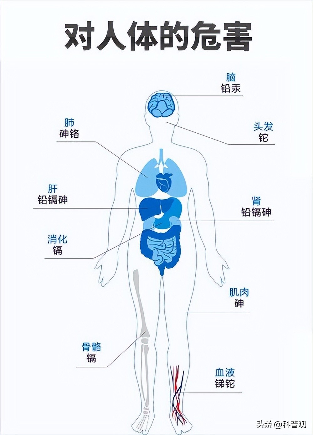 倒进热水变绿水，“夺命保温杯”屡次遭央视曝光，大家应警惕对待