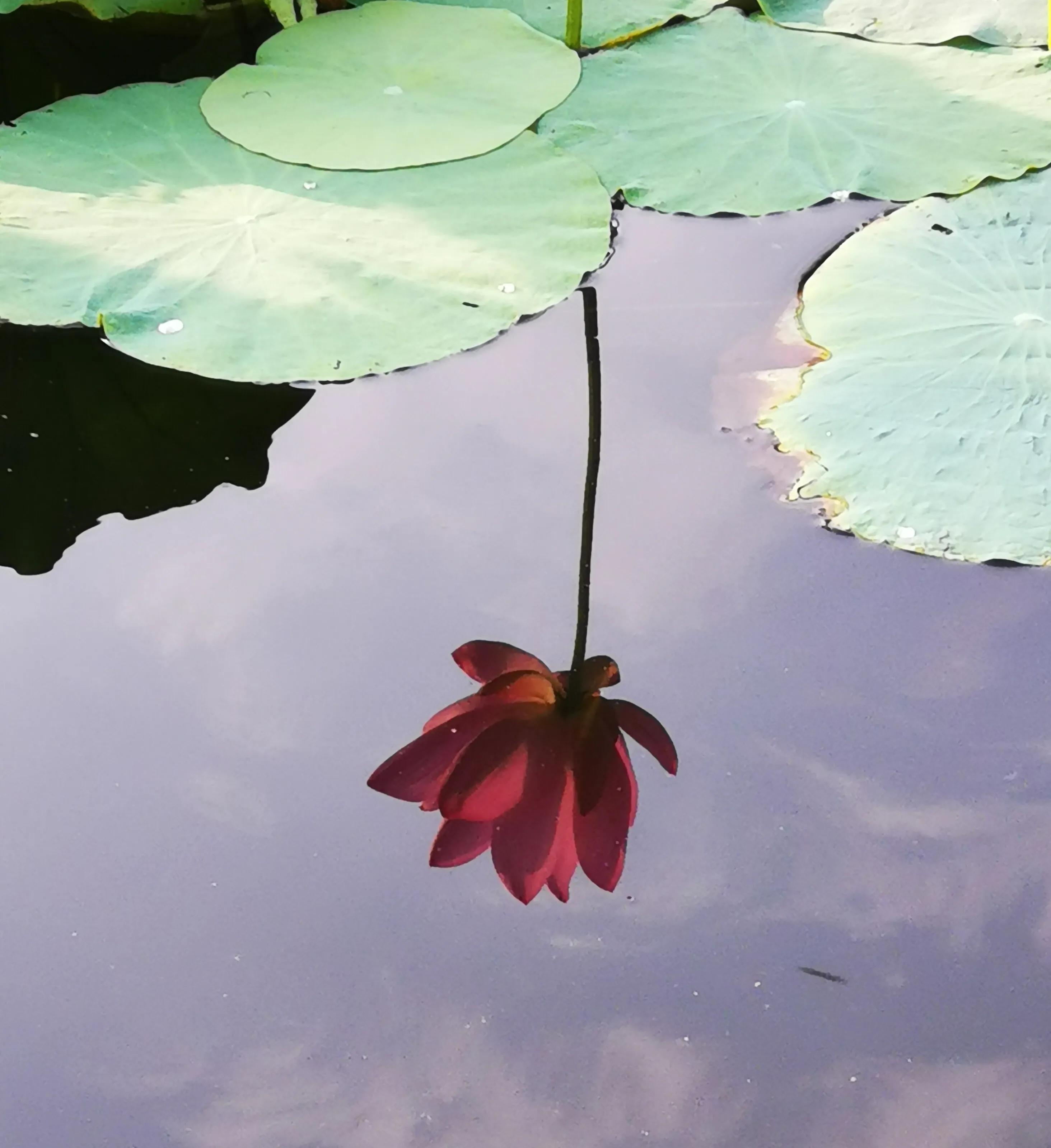 手拍世界手机摄影平台,手拍世界摄影网