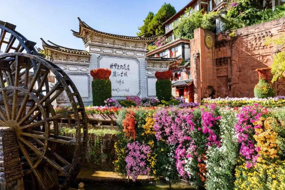 丽江古城一家客栈,丽江古城哪一家客栈门口有个大树