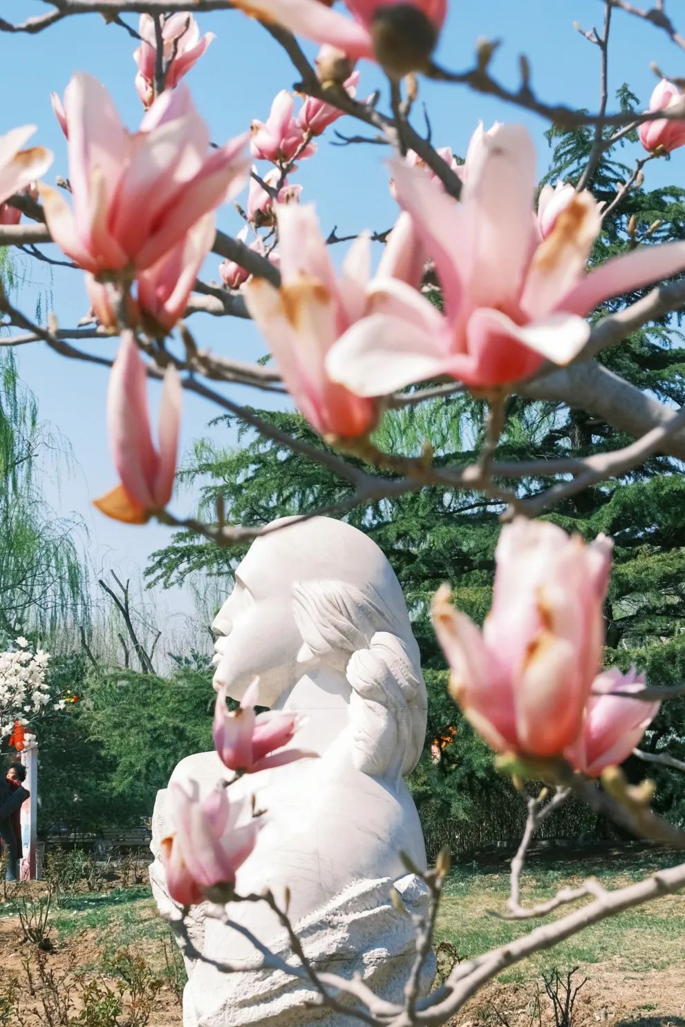 石景山首钢园骑行,春天石景山赏花