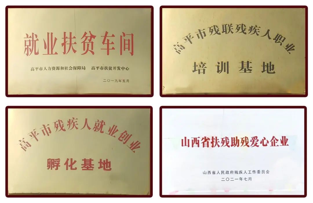 就业宣传年|真情服务显担当聚力助残暖人心——高平市马良刺绣厂