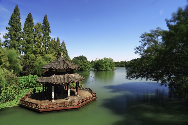 47岁女人的情感故事,面部长血管瘤的女孩