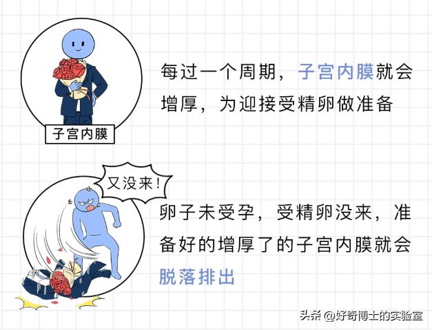 女生来大姨妈，为什么有的痛得要死，有的没啥感觉？