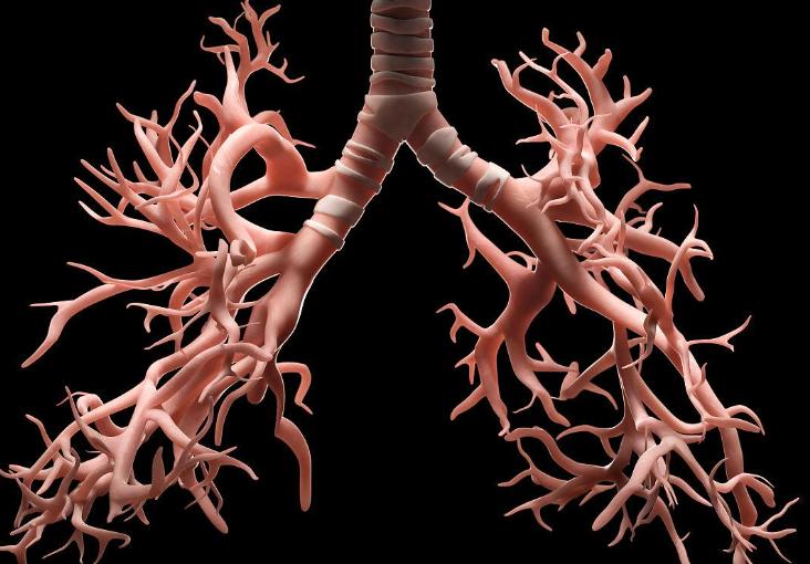 过敏性疾病的认识,过敏性鼻炎的流行病学