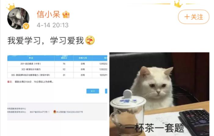 支付宝1亿锦鲤女孩自述,支付宝1亿元锦鲤女孩