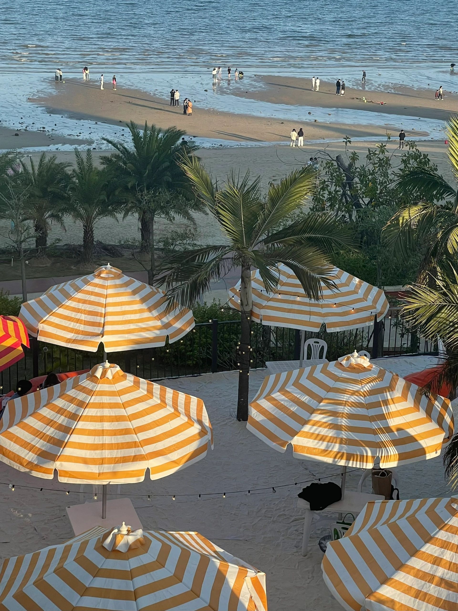 去厦门一定要去的地方,去厦门必须去的几个地方