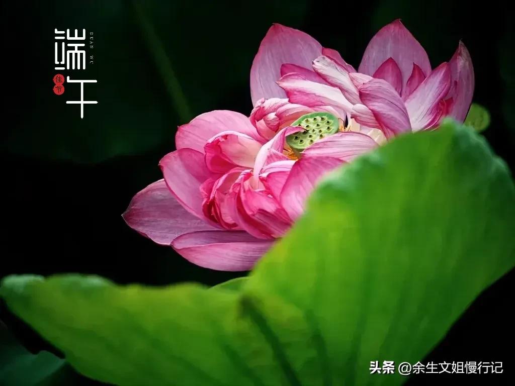 端午节的起源和演变手抄报,端午节的起源和哪个人物无关