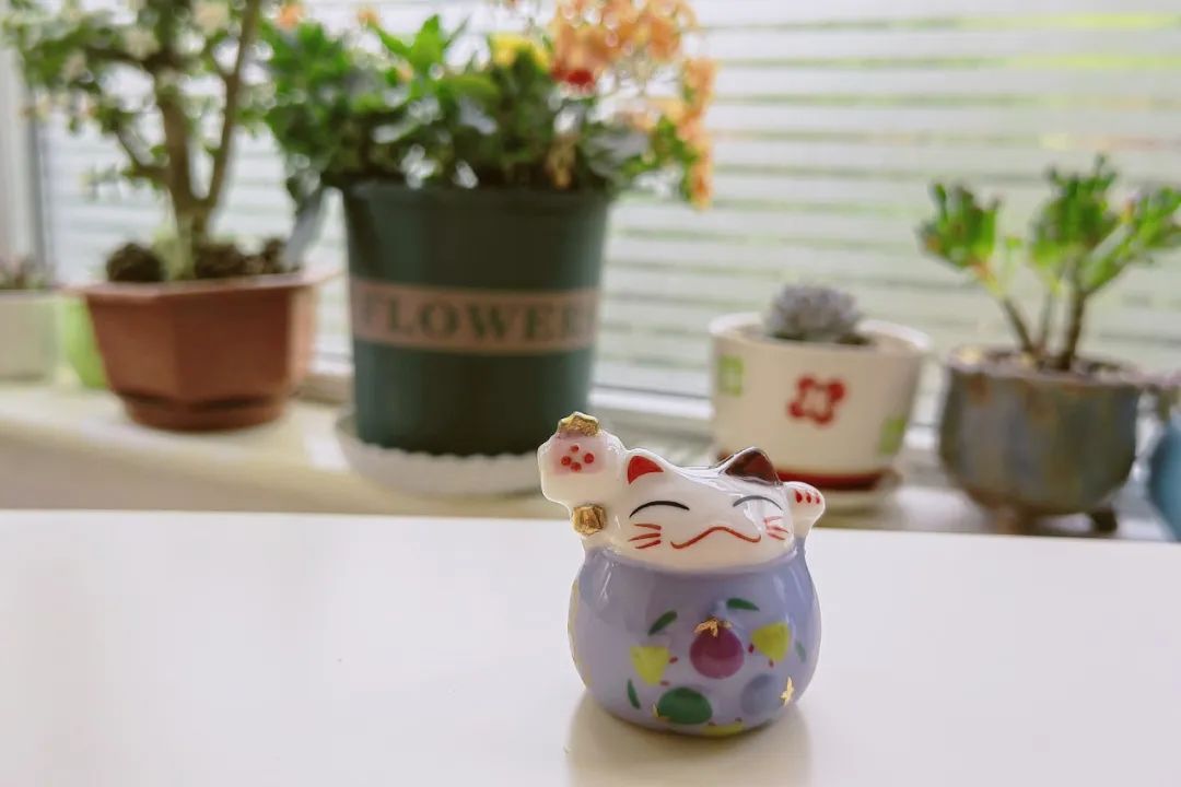 盘点一下，这些年浪费掉的钱！